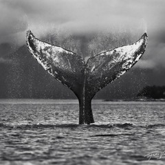 Ronnie Spiteri - Talking To Nature (Kjell Vocal Edit)