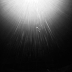 Northern star