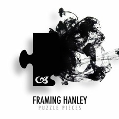 Framing Hanley - Puzzle Pieces