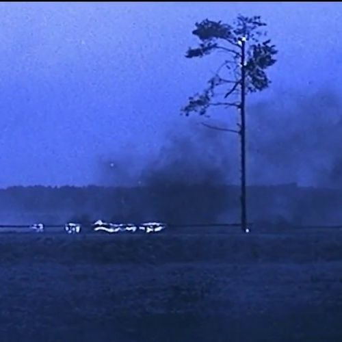 Bliss Point Archive