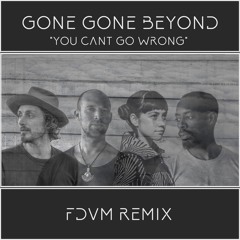 Gone Gone Beyond - You Can't Go Wrong (FDVM Remix)
