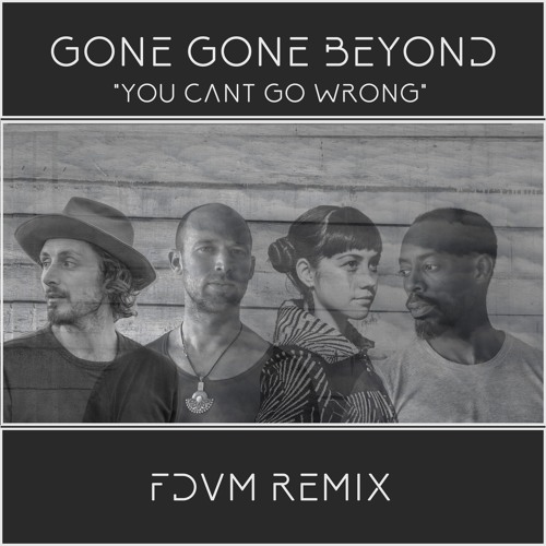 Gone Gone Beyond - You Can't Go Wrong (FDVM Remix)