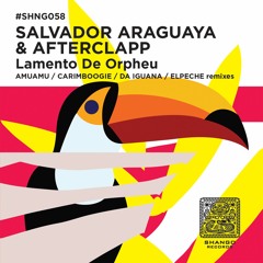 2.Salvador Araguaya & Afterclapp - Lamento De Orpheu Feat. Kia Sajo (AmuAmu Remix)
