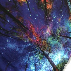 The Float (Interlude)