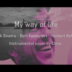 My way of life (Frank Sinatra - Bert Kaempfert - Herbert Rehbein) - Instrumental cover by Chris .