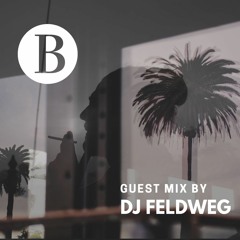 Beach Podcast Guest Mix by DJ Feldweg