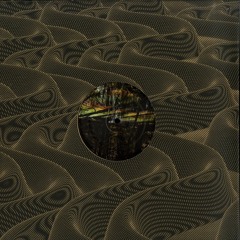 B2. Julian Muller - No Lord For Me