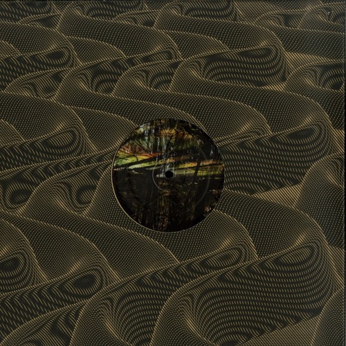 B2. Julian Muller - No Lord For Me
