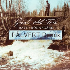 David Ronnegard - Great Old Tree (PÅLVERT Remix)