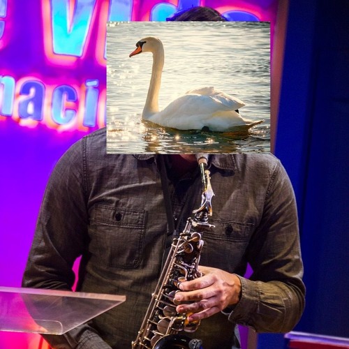 SummerSwanMixVol1: Lets Get Groovy and Saxy