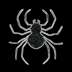 BASS🕷️