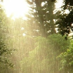 Sun Shower (home-made cover by J. G.)