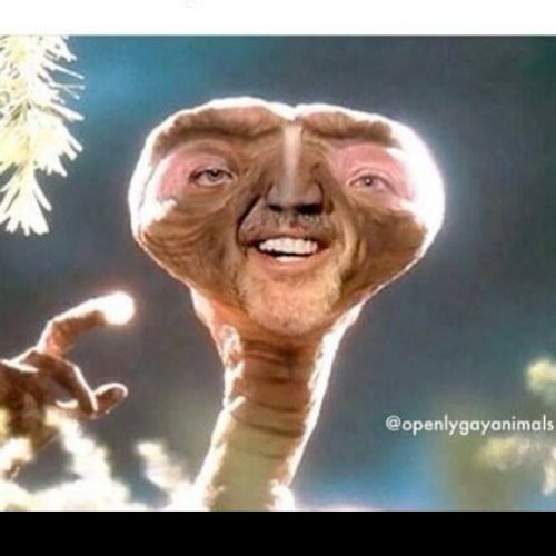 Twistin Up Ya Cage Like Nicolas - Raggamarvin B2B Grubba [Free DL]