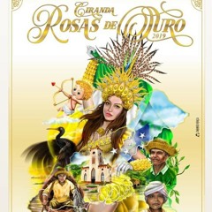 Ciranda Rosas de Ouro 2019 || Música Tema
