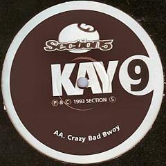 K9 - Crazy Bad Boy (Jam1 Remake)