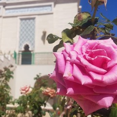 Mawal Zaouia Boutchichiya - 'Aïd al-Fitr Madagh 2019