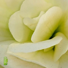 Looking Back (2019 demo)