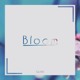 on Bloom