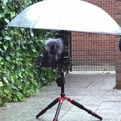 Rain Paraplu AMBEO VR - Binaural