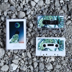 NICKELMAN / $TONER HOU$E TEASER