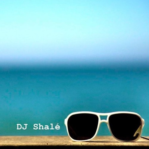 Summertime Pre-Game / Upbeat Workout Vol. 1 - DJ Shalé