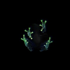 Dog Blood - Turn Off The Lights (Wubbit Flip)