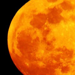 Lukie Baby - This Is Work