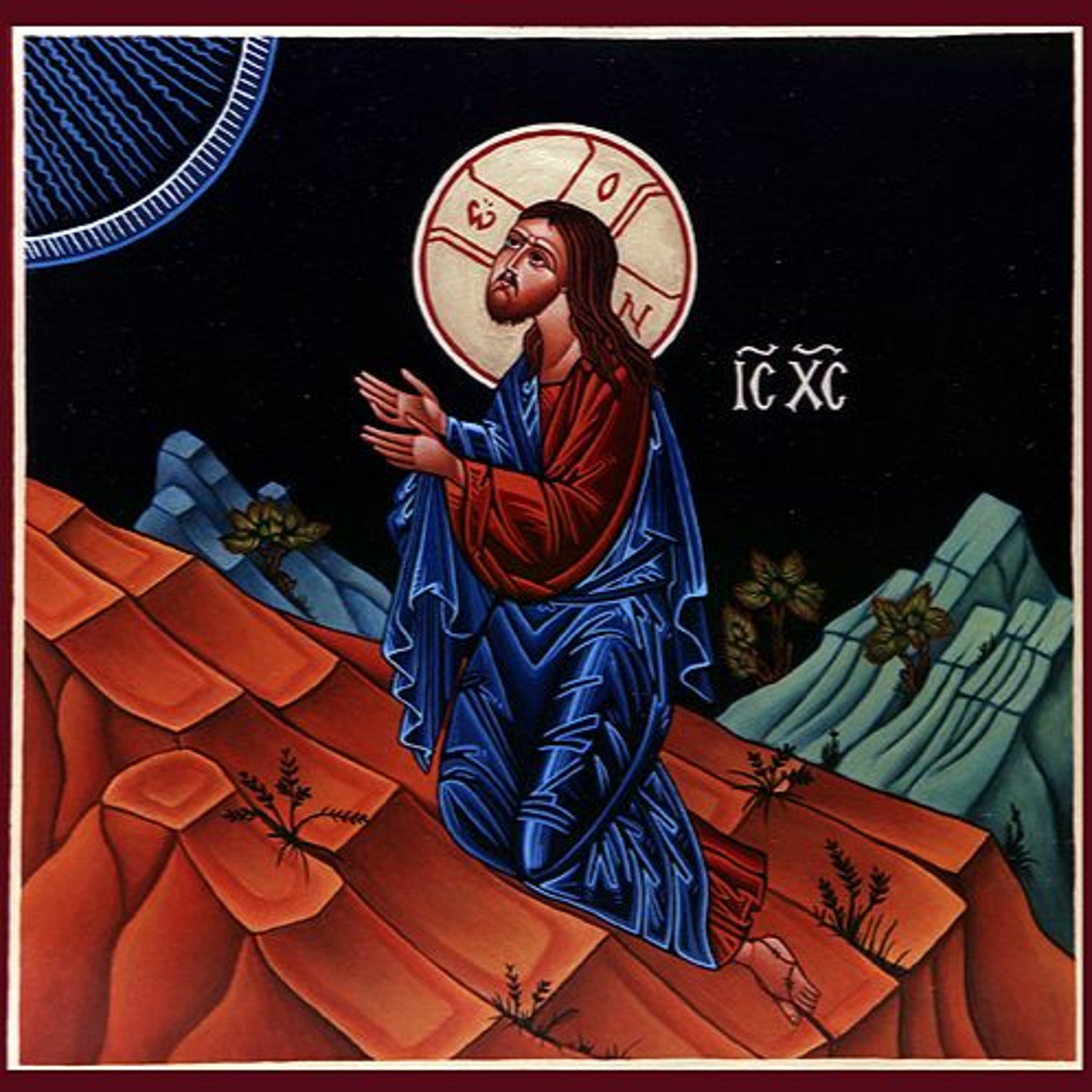 MERCYhouse University