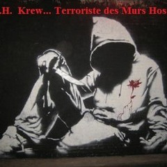 T.M.H.     Terroriste des Murs Hostiles