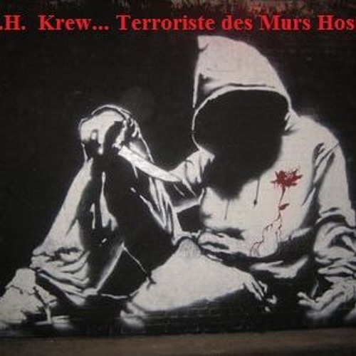 T.M.H.     Terroriste des Murs Hostiles