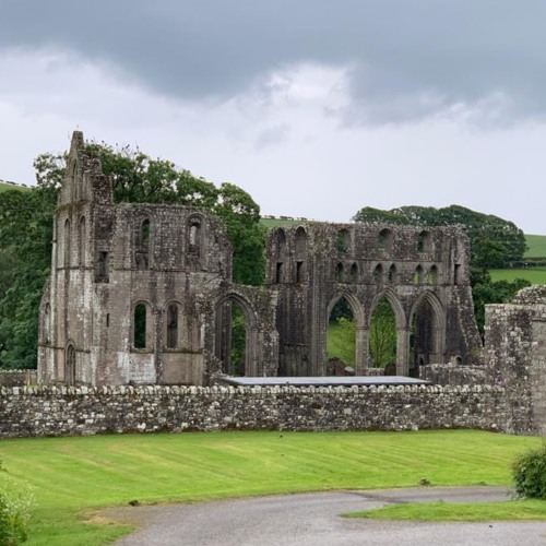 Trauma workshop at Kirkcudbright