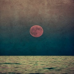 Experimental/IDM/Electronica [Playlist #4: Idiota Del Mar]