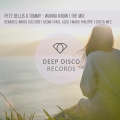 Pete Bellis - Wanna Know (The Album) Mix