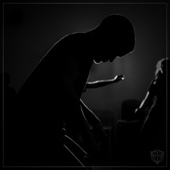 Shurk - Feelers