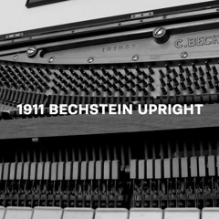 Buda - The Piano Book demo / 1911 Bechstein Upright