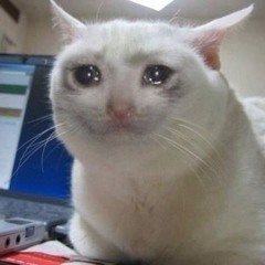 Stella Donnelly - Boys Will Be Boys - Ukulele Cover In A Busy Room While It Rains Outside