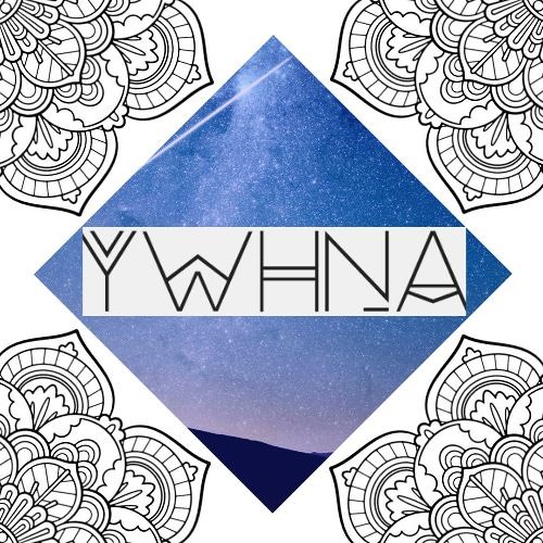 Dle Yaman - YWHNA (Revision)