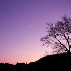 Dark night (Feat.pArk)