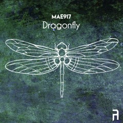 MAE917 - Dragonfly - FREE DOWNLOAD