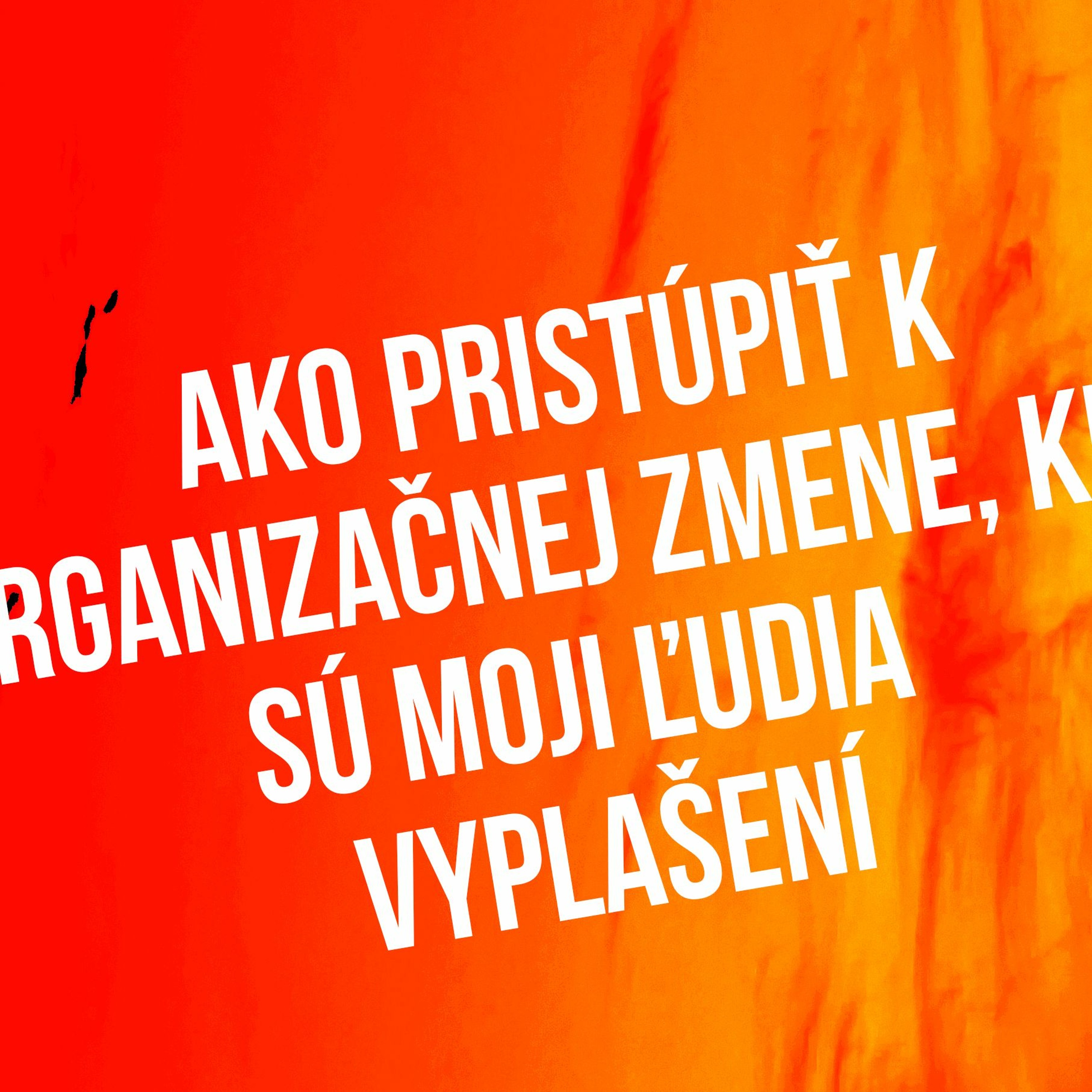 Sprievodca Manažéra
