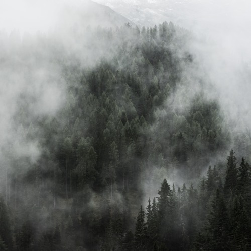 CODECAST #008 - LD Hypno - Inside Every Machine There's A Loving Heart (and Some Hidden Pain)