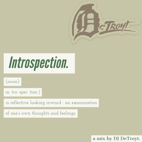 Introspection [a Mix by DJ DeTroyt]
