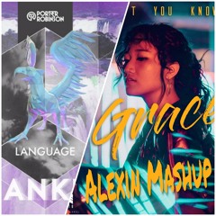 Don't You Know The Language (Alexin Mashup)