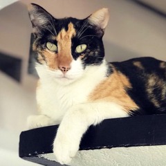 Boticario FunkyHouse Part 1 (Mx Playa del Carmen)