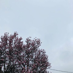 in my backpack #4gort (prod. joker!)