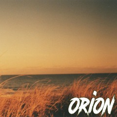Orion - Beware