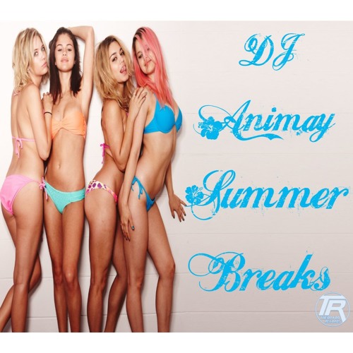 *Free DL* DJ Animay - Summer Breaks