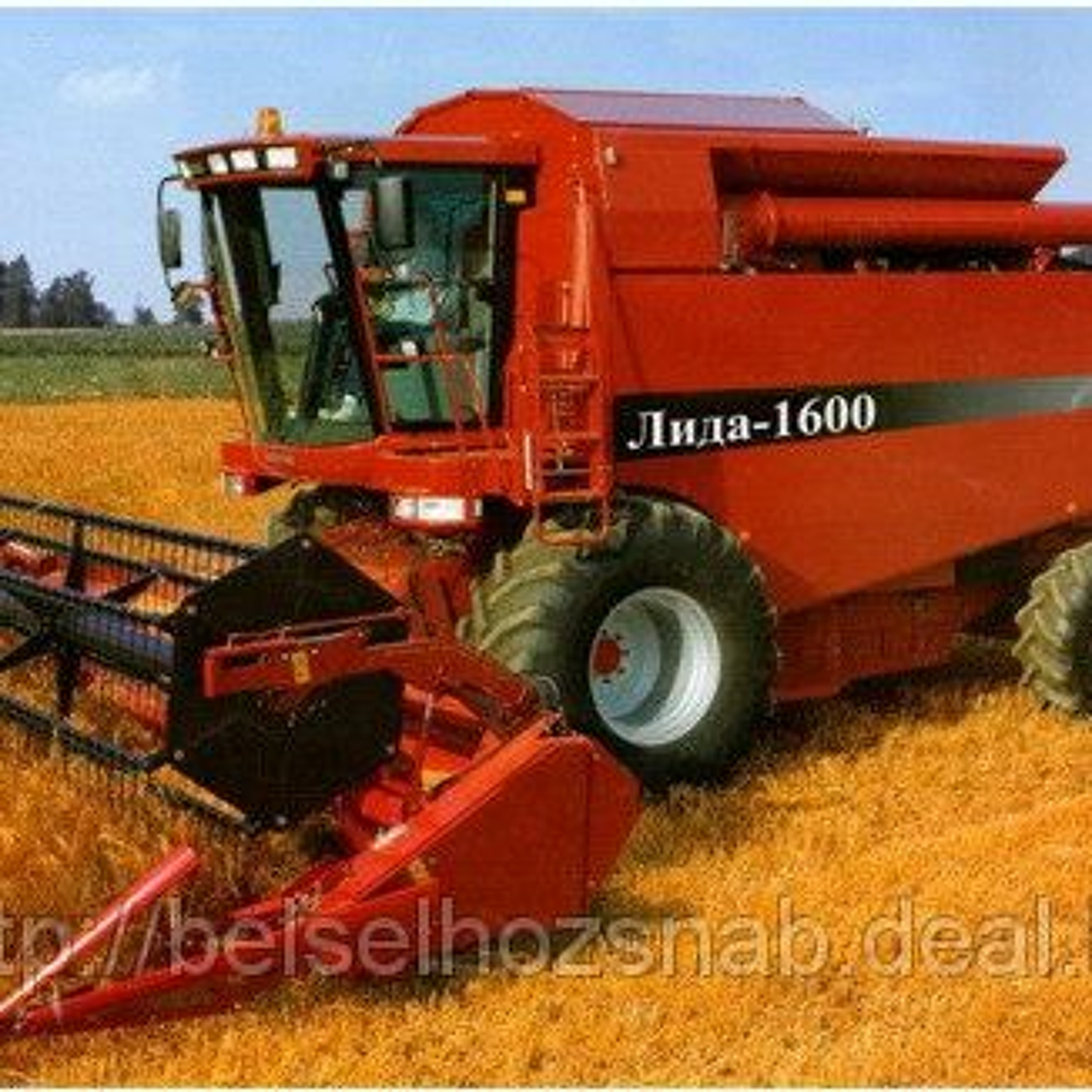 Suicide Fun (shurkin)