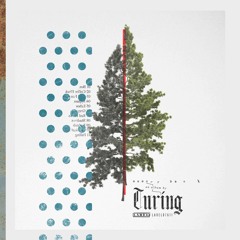 Turing - -Falling Perview