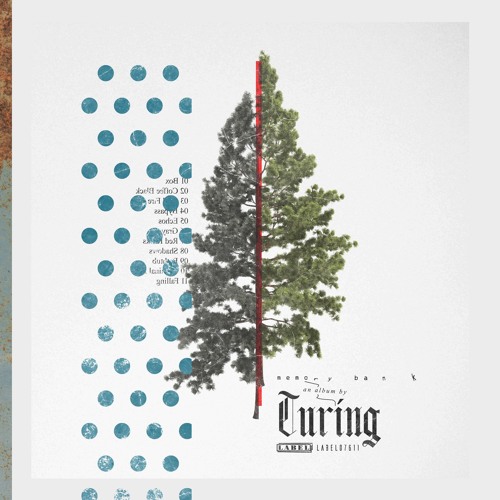Turing - -Bypass Perview